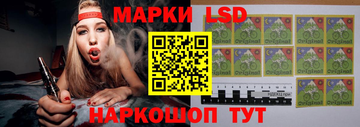 Бердск  LSD-25 экстази кислота  OMG вход  Вход с VPN 