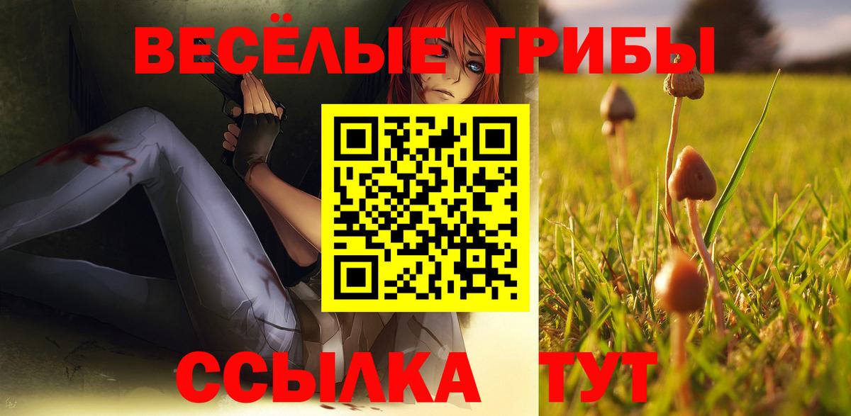 Бердск  Псилоцибиновые грибы мицелий  Вход с VPN  Галлюциногенные грибы прущие грибы 